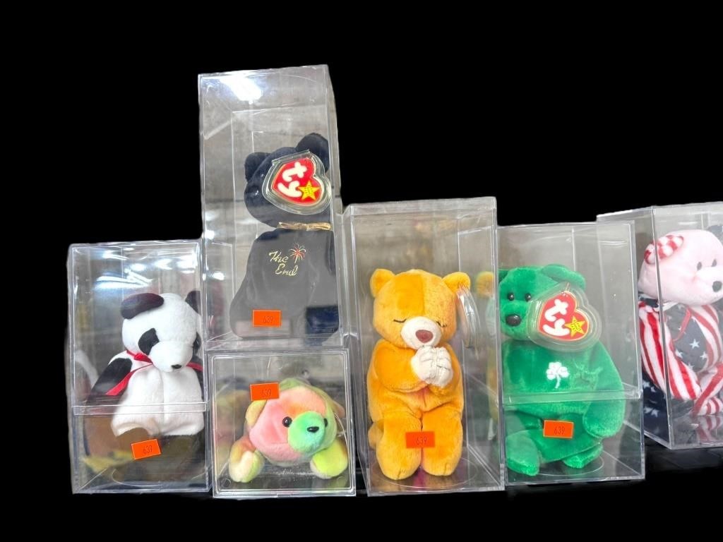5 Ty Beanie Babies In Plastic Cases