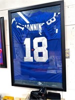Framed Peyton Manning Indianapolis Colts Jersey