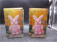 Battery Operated Walking Musical Bunnies