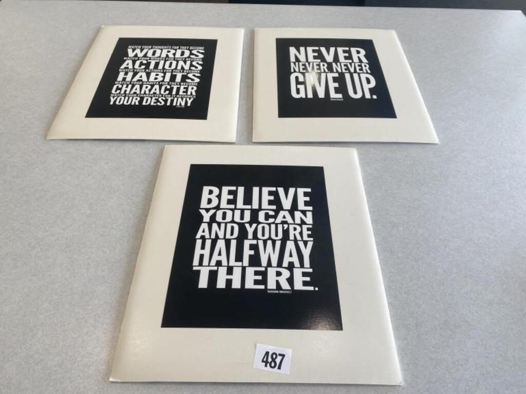 (3) - 12 x 14 motivational posters on heavy card