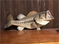 BIG MOUTH BASS MOUNT ON WOOD PLAQUE