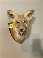 FOX HEAD MOUNT