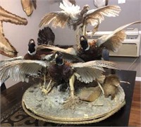 4 PHEASANT MOUNT AND MINK - CONDITION