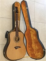 Dean AK48PK Tradition  Acoustic  Guitar Gloss