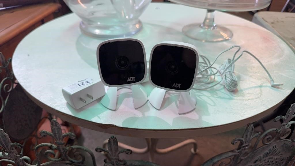 Two ADT Cameras with cords