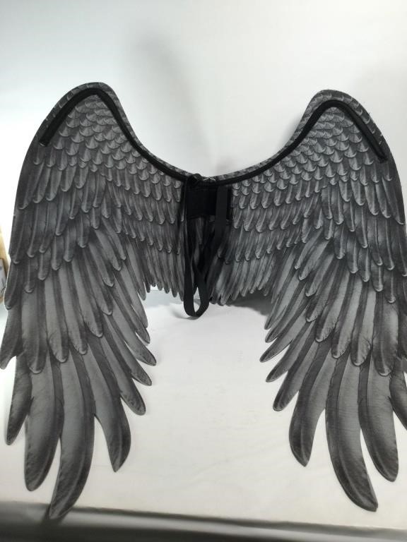 New Costume Wings