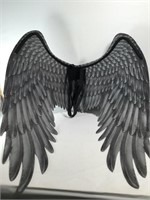 New Costume Wings