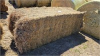 20-3'x3'x7 1/2' large square grass hay bales
