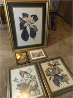 5 framed floral & bird pictures-large 32" x 26"