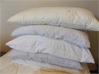 5 pillows previously owned