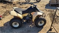 Childs ATV; Not Running