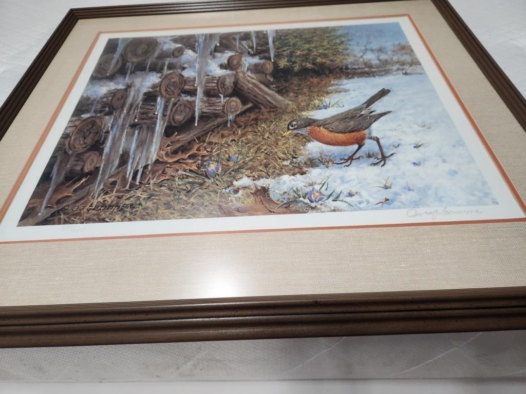 Owen Groome Spring's Early Arrivaval Robin Print