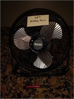 Small Massey Fan