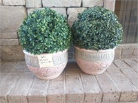 2 Green Plants in Pots