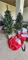 2 4ft. Outdoor Pre-lit Christmas Trees & Storage