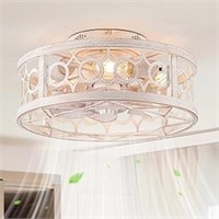 Lediary Caged Ceiling Fan W/light & Remote