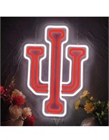 Like new Basketball Sports Neon Sign, College