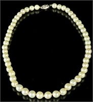 Oyster Cultured Pearls w/ 14k Gold Clasp Necklace