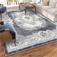 $160 Area Rug 6.5×9.8 ft