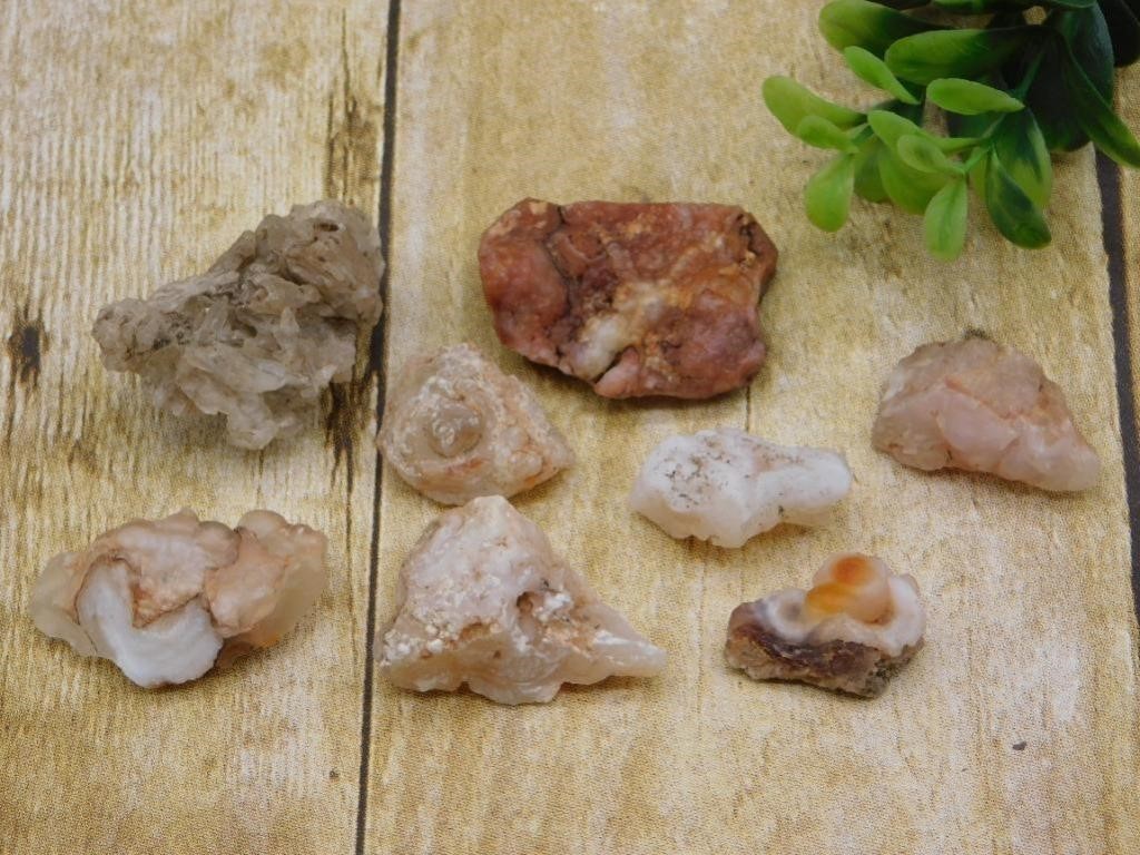ROCK AUCTION! GEMS, CRYSTALS, MINERALS, JEWELRY, FOSSILS, AR