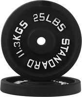 25LB Cast Iron Weight Plate - Set of 2