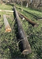 REA Poles, 2 & assorted short pole posts