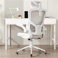 Ergonomic Mesh Desk Chair, High Back Computer