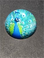 Peacock Paperweight