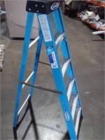 Werner 250lb Load Capacity Ladder