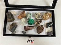 Display Case with Minerals 8" x 14"