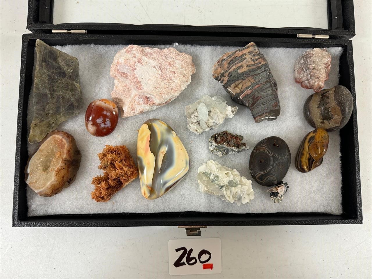 Display Case with Minerals 8" x 14"