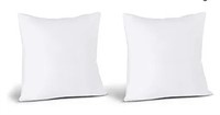 NEW Set of 2 Throw Pillows, 22" x 22"