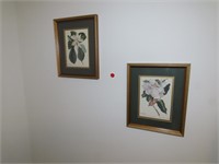 2 Small Framed Floral Pictures