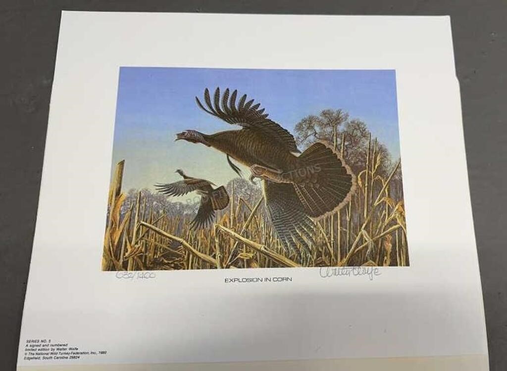 1980 Wild Turkey Stamp Print #632 by Walter Wolfe
