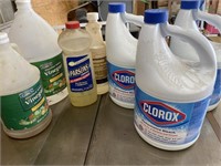 Lot Of Bleach & Other Cleaners