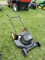 6HP Push Mower