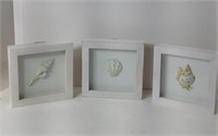 3 Small Shadowbox Seashell Decorations U13B