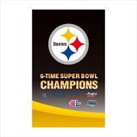 Pittsburgh Steelers 3x5 Championship Flag NEW