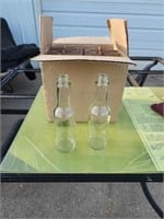 12 bottles in a box