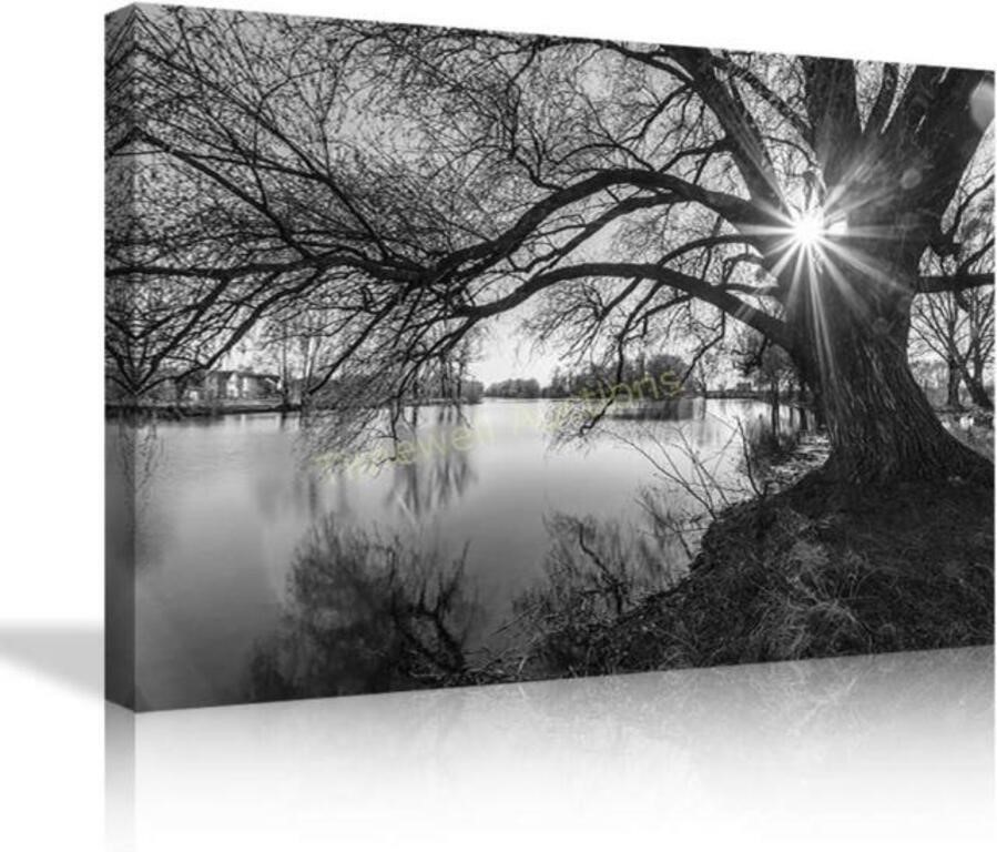 B&W Tree Silhouette Canvas  24x24