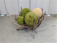 (1) Decorative Antler w/Moss Balls