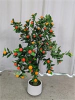 (1) Orange Tree in White Ceramic Pot