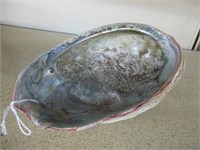 Vintage  Genuine Abalone  shell