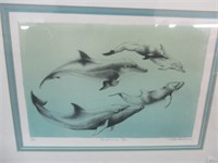 Art Original Print Bottlenose Dolphins 16/30