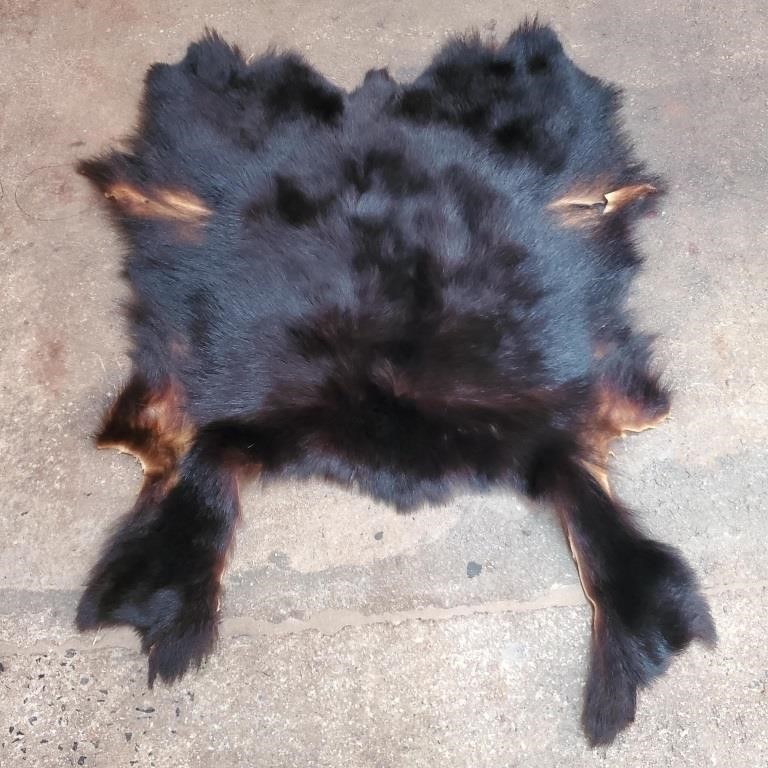 Large Black Bear Fur Rug