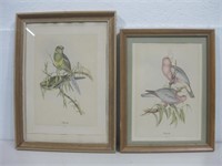 Two Framed Vtg Bird Prints Largest 11"x 15"