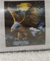 Bald Eagle DIAMOND ART KIT New