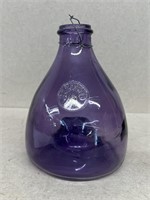 Amethyst glass wasp bottle