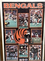 Cincinnati Bengals framed poster