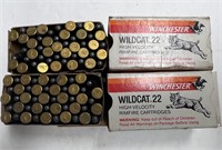 Approximately 100 Rounds Winchester .22 LR Ammo